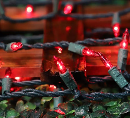 LAMPHOME Red Valentines Day Decor Lights,100 Count 19.6FT Mini Valentine's Lights,Red Christmas String Fairy Lights Outdoor Indoor Plug in for Room Party Wedding Tree Valentines Day Decorations