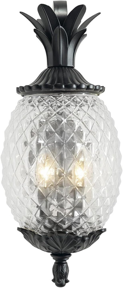 Acclaim 7502BK Lanai Collection 2-Light Wall Mount Outdoor Light Fixture, Matte Black