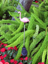 (4 Pack) Solar Outdoor Garden Pathway Stake Red LED Flamingo Yard Light | Lumora