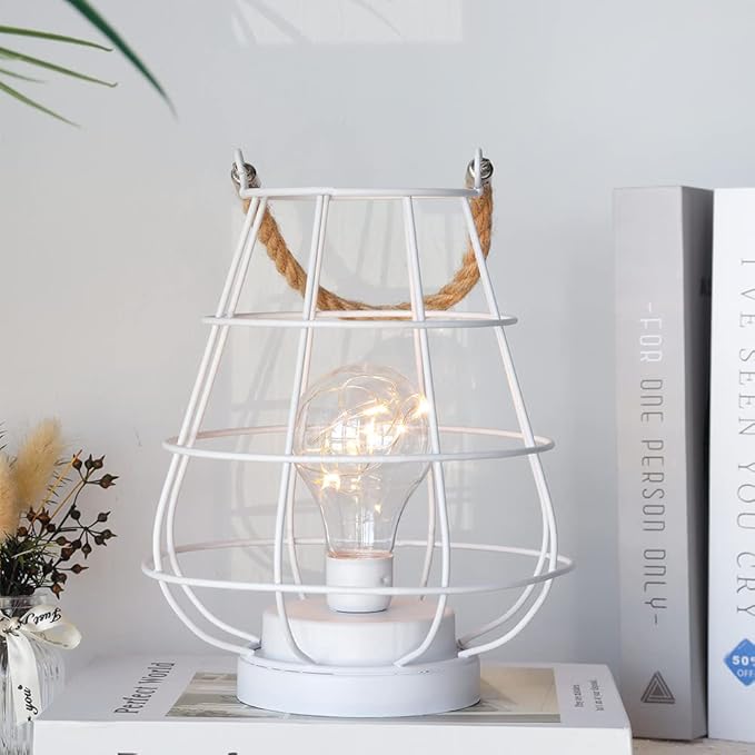 JHY DESIGN Decorative Cage Bulb Lamp Battery Powered Lights 8.5" Tall Cordless Accent Light with Edsion Style Bulb Great for Weddings Parties Patio Events for Indoors Outdoors(White)