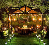 KLED LED Solar String Lights Outdoor 18Ft Waterproof Hanging Lights with 12 Shatterproof Bulbs & 4 Light Modes | Lumora