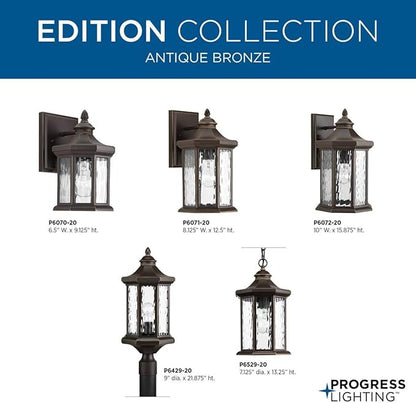 Progress Lighting P6529-20 Traditional/Classic 1-100W Med Hanging Lantern, Antique Bronze, 13.25x7.13x7.13