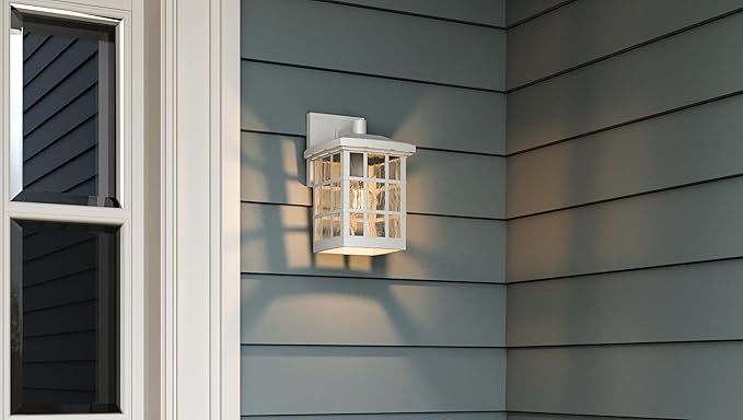 Quoizel Stonington Outdoor Wall Lantern, Coastal Armour 10.5 Inch 1-Light Matte White Vintage Wall Sconce, Clear Water Glass, 100W, Decorative Outside Lights for Patio, Porch, Garage or Yard