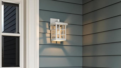 Quoizel Stonington Outdoor Wall Lantern, Coastal Armour 10.5 Inch 1-Light Matte White Vintage Wall Sconce, Clear Water Glass, 100W, Decorative Outside Lights for Patio, Porch, Garage or Yard