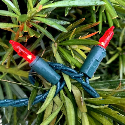 200 LED Red Christmas Lights, UL Certified and Commercial Grade Decorative Lighting String Green Wire 66 Ft, for Indoor and Outdoor Party, Patio, Trees.
