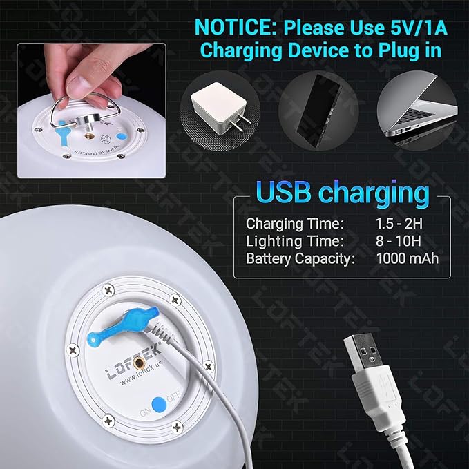 LOFTEK LED Pool Lights That Float - 8-inch Globe Lamp Rechargeable - 16 RGB Lamp with Handle & Remote, Waterproof | Lumora