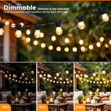 S14 Outdoor String Lights 50FT, Waterproof Patio Lights with 15 Shatterproof Bulbs for Bistro, Backyard, Porch | Lumora