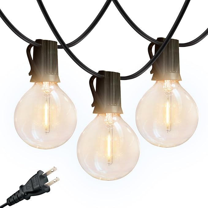 Brightech Bundle: Ambience Pro Waterproof LED Outdoor String Lights - 26 Ft 12 Bulbs, 1W Vintage Edison, Warm White Black + Outdoor Dimmer Plug