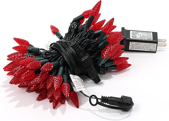 WATERGLIDE C6 Valentines Lights, 33ft 100 LED Faceted String Lights Green Wire Christmas Fairy Lights with 29V Adaptor, 8 Lighting Mode, Waterproof for Indoor Outdoor Patio Xmas Tree Party Decor, Red