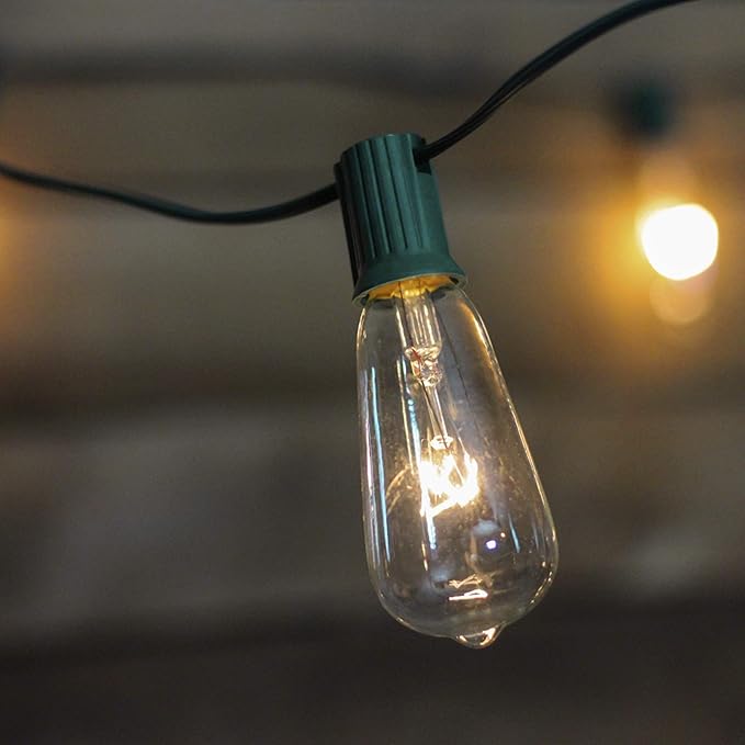 Northlight Edison Glass Indoor Outdoor Patio Light Set - Clear - 9' Green Wire - 10ct
