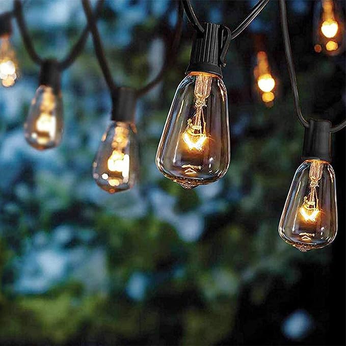Abeja 10Ft ST38 Outdoor String Lights with 11 Clear Vintage Light Bulbs and 10 Pack ST38 Replacement Light Bulbs | Lumora