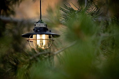 Barebones Edison Pendant Light – Antique Bronze, Vintage Rustic USB LED Hanging Light for Outdoor and Indoor Use – Adjustable Height String Lantern with Warm Edison Bulb Glow for Patio, Home, Garden