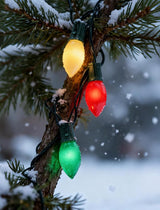 25Ft Vintage Christmas Lights C9 LED Red Green and White Outdoor String Lights with 26 C9 Bulbs (1 Spare) | Lumora