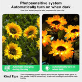 ZPSHYD Solar Sunflower Lights, IP65 Waterproof Outdoor Garden Auto ON/Off Solar Decorative Lights for Backyard | Lumora