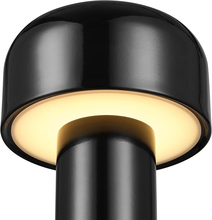 Globe Electric 60000118 8" 1.5W LED Integrated Outdoor Table Lamp, Black, Plug-in Rechargeable Battery, USB-C Cable, Frosted Acrylic Diffuser, 4-Step Dimmer Touch Switch, Wet Rated