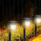 S NMT Super Bright Outdoor Solar Garden Lights Motion Sensor Pathway Light Landscape Lighting for Yard, IP65 | Lumora