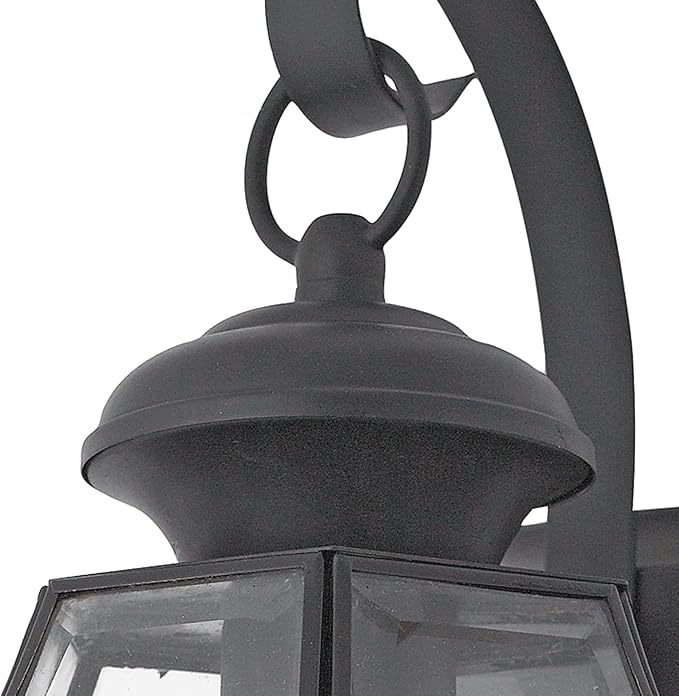 Quoizel Newbury Outdoor Wall Lantern, 14 Inch 1-Light Mystic Black Wall Sconce, French Country Exterior Wall Lantern Fixture, E26 Base, Clear Glass, Outside Lights for Patio, Porch, Garage or Yard