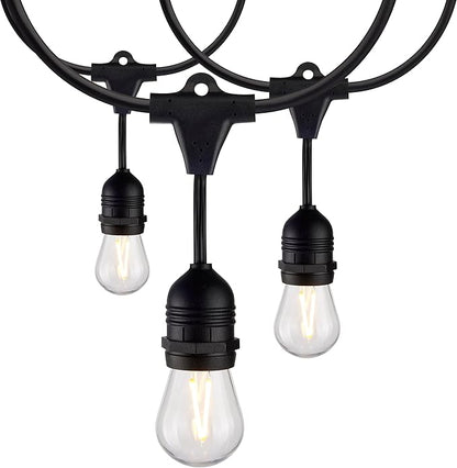 Satco S8030 LED Indoor/Outdoor String Lights, Black, S14 Bulbs, 24 Feet (Pack of 1)