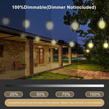 100 FT Outdoor String Lights IP65 Waterproof Patio Lights with 30 + 3 Shatterproof LED Bulbs Commercial Grade LED | Lumora