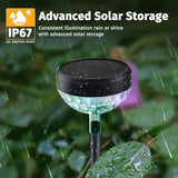 8Pack Solar Pathway Lights Outdoor, Color Changing+8 Fixed Color (Warm White, Cool White, Colored) Solar Lights | Lumora