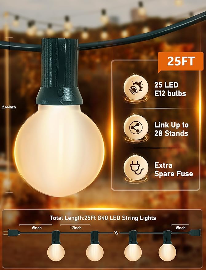 25FT G40 LED Frosted Outdoor String Lights, Globe String Lights with 27 Edison Shatterproof Bulbs(2 Spare), Decorative Lights for Bedroom Bistro Café Wedding, Warm White, Green Wire