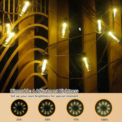 Vintage Christmas Lights Battery Powered 6.5Ft 10 LED Edison Hanging Lights with Remote Timer, Indoor Fairy Lights Shatterproof Outdoor Patio String Lights for Bedroom Garden Camping Christmas Decor