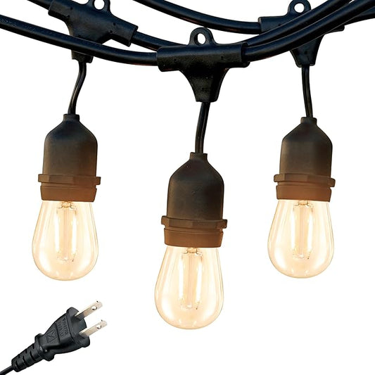 Brightech Bundle: Ambience Pro Waterproof LED Outdoor String Lights - Hanging, Dimmable 2W Vintage Edison Bulbs - 48 Ft + Outdoor Dimmer Plug