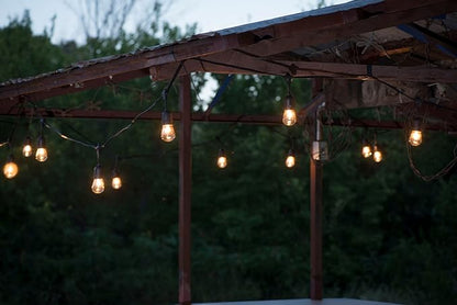 String Light Company Vintage 48-Ft Outdoor Commercial String Lights with 24 Suspended Sockets and 24 Clear S14 Bulbs, 16 Gauge Black Cord