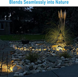 LEONLITE 5CCT LED Rock Lights Outdoor, 5W Low Voltage Landscape Spotlight for Garden, Yard, Decorative Stone Light | Lumora