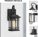 Emliviar Outdoor Wall Lanterns 2 Pack, 1-Light Exterior Wall Mount Light, Black Finish with Clear Seedy Glass | Lumora