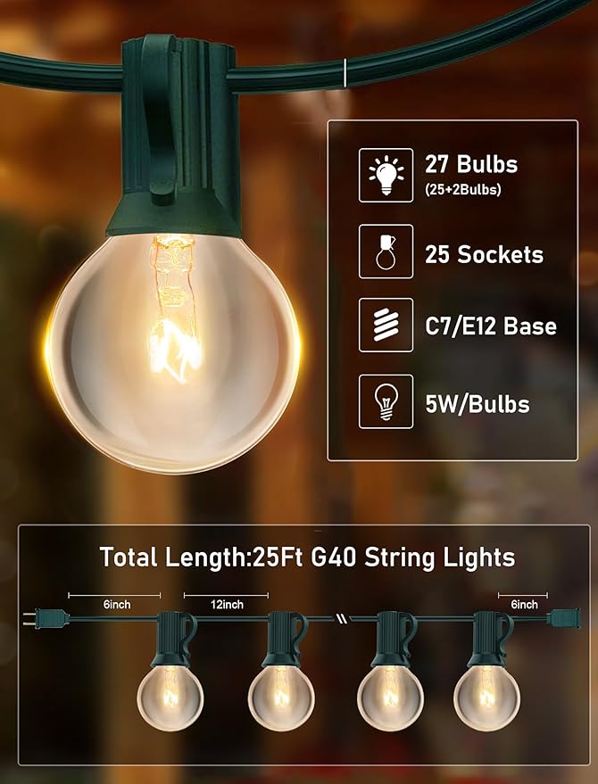 25FT Outdoor String Lights with 27 Clear Bulbs, G40 Globe Patio String Lights for Indoor/Outdoor, Connectable Hanging Lights for Backyard Porch Balcony Party Decor - Green Wire