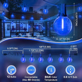 LAMPHOME LED Outdoor String Light, 26Feet Patio Lights with12+1Edison Shatterproof Bulbs(1Spare), UL Waterproof | Lumora