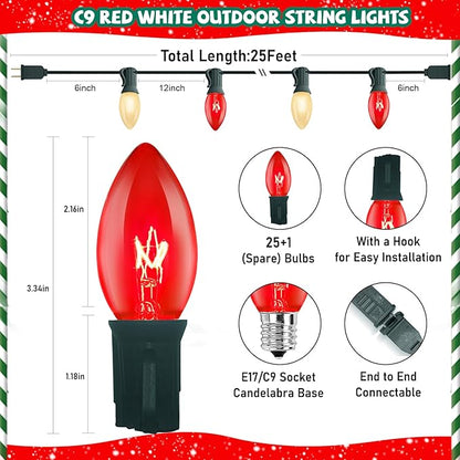 25FT C9 Christmas Outdoor Lights,Red and Frosted White Christmas Lights with 26 Bulbs(1 Spare),Commercial Vintage Red White String Light for Tree Yard Garden Porch Party