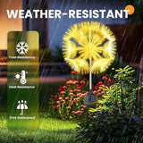 Solar Garden Lights Outdoor Waterproof Decorative, 2-Pack 19LED Warm White Fairy Light 8 Modes, Solar Firework | Lumora