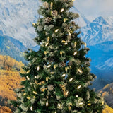 Novelty Lights 24FT 70 LED C6 Christmas String Lights, Outdoor Tree Commercial Grade LED Lights, Permanent | Lumora