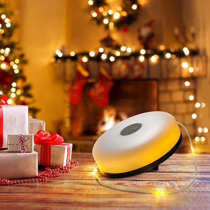 Camping Lights String Outdoor: 4 in 1 Christmas Outdoor String Lights with 8 Lighting Modes - 30s Recovery USB Charging - Portable RGB Camping String Lights for Camping, Hiking - 29.52ft