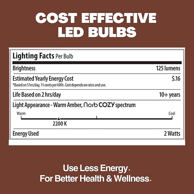 Norb NorbSTRING 2W AC LED Replacement Bulbs for Plug-in String Lights - Warm Candlelight Glow, E26 Standard Base | Lumora