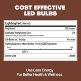 Norb NorbSTRING 2W AC LED Replacement Bulbs for Plug-in String Lights - Warm Candlelight Glow, E26 Standard Base | Lumora