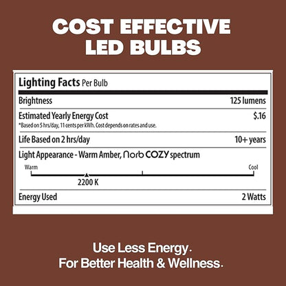 Norb NorbSTRING 2W AC LED Replacement Bulbs for Plug-in String Lights - Warm Candlelight Glow, E26 Standard Base, Shatterproof, Energy-Efficient – Outdoor Weatherproof S14 Bulbs (10-Pack)