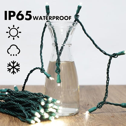 LAMPHOME 600LED (12pk of 50L) String Lights, LED Christmas Lights, 6" SPACING,Green Wire, White