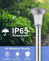 Mini Solar Pathway Lights Christmas Outdoor 12 Pack Waterproof Upgraded Bright LED Solar Garden Lights Stainless | Lumora