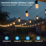 100FT S11 LED Outdoor String Lights with App & Remote, Low-Voltage Patio Lights with Music Sync, 4 Lighting Modes | Lumora