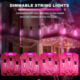 LAMPHOME 2-Pack 26Ft ST38 Pink Valentine's Day Patio Lights ，Outdoor String Lights with 12+1 ST38 Edison Bulbs | Lumora