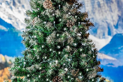Novelty Lights 25ft Christmas String Lights, 50 Pure White LED Bulbs on Black Wire, 6" Spacing, Connectable Indoor Outdoor Commercial Grade Lighting for Holidays Patio Weddings