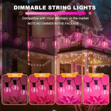 LAMPHOME 26FT G40 LED Outdoor Valentine's Day String Lights, Pink Valentines Decorations Lights with 13 | Lumora