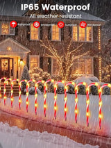 BOSSERN Upgraded 24 Pack Candy Cane Solar Christmas Lights Waterproof, Rechargeable Pathway Lights with Remote | Lumora