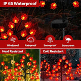 Fall Décor Solar Garden Lights for Outdoor Thanksgiving Decorations,2PACK 40LED RED Maple Leaves Path Lights,Autumn | Lumora