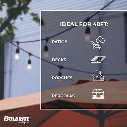 Bulbrite 48-Foot String Light Kit with Clear Shatter Resistant Vintage Style S14 LED Light Bulbs