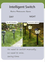 Solar Lights Outdoor Waterproof, 2Pack LED Solar Garden Lights, Outdoor Decorations, Garden Decor for Yard, Patio | Lumora