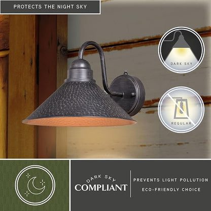 VAXCEL Outland 9 in. H 1-Light Aged Iron and Light Gold Dusk to Dawn Sensor Farmhouse Outdoor Wall Sconce, Gooseneck Metal Shade, Dark Sky Compliant for Exterior Porch Patio Front Door or Garage